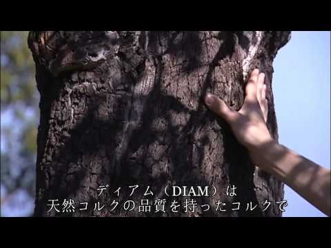 Diam Hd Jp