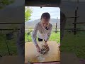 titolo video