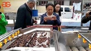 Air Bubble fruit vegetable Washing Machine|Date Palm Washing Machine