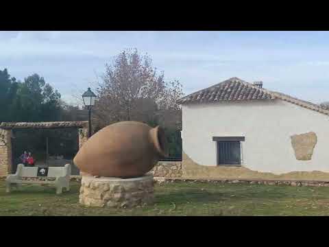 Esta ganadería mantiene viva la tradición de la trashumancia | Ancha es Castilla-La Mancha