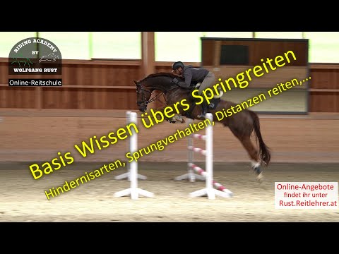 , title : 'S13 Springtraining- Übungen: Distanz am Sprung erkennen und reiten lernen. Kreuz, Steilsprung, Oxer.'