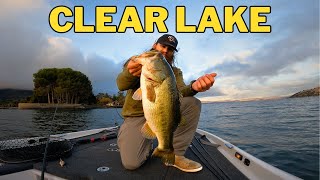 🎃 Can I Break the Clear Lake Curse??? FALL TRANSITION 🎃