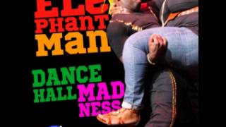 Elephant Man - Dancehall Madness (DJ Mysteria Re-Fixx)