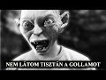 GYŰRŰK URA MAJKA BELEHALOK Paródia - Pempi ...