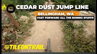 MTB Trail Preview