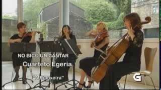 A Rianxeira / Versión de A. Morán / Cuarteto Egeria