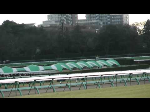 THE ARIMA KINEN 56th THE GRAND PRIX