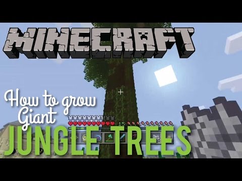 LifeByLacey - How To Grow Giant Jungle Trees in Minecraft