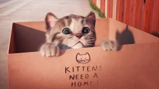 Little Kitten - My Cute Little Pet | Baby Play Original and Lovely Kitten Kids Games Video For Kids