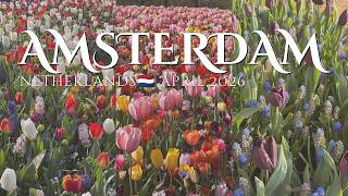 旅行VLOG:オランダ🇳🇱アムステルダム|2026/04|1泊3日|夜行バスひとり旅🌷