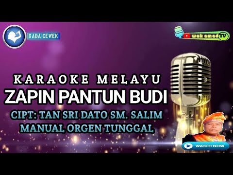 ZAPIN PANTUN BUDI | KARAOKE MELAYU | SM. SALIM | NADA WANITA | wak amad tv