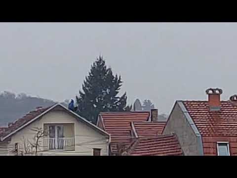 Tinejdžer stoji na krovu kuće, hoće da skoči, iza svega je teška priča - Telegraf.rs