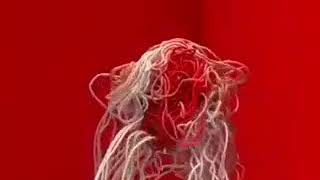 Allan Rayman -  Repeat