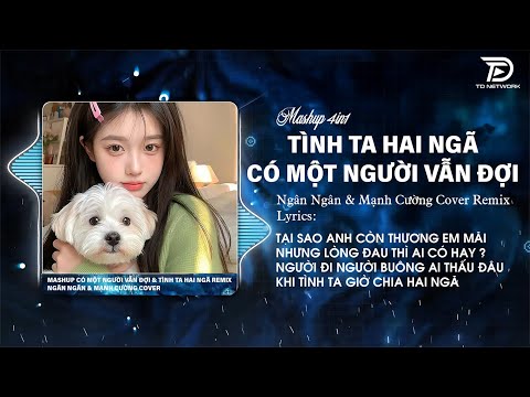 MASHUP 4IN1 [Style Huy PT] Có 1 Người Vẫn Đợi x Tình Ta Hai Ngã, NGÂN NGÂN Remix ( Bản Hot Tiktok )