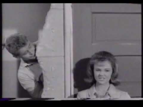 Shelley Fabares -  True Love