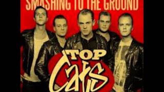 Top Cats Accords