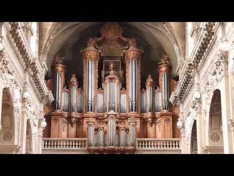 Massimo Dei Cas - Preludio per organo all'aria spirituale bachiana "Seelenweide"