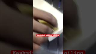 Kashmiri willow leather cricket bat oiling nbr sports factory #cricket #cricketbat #cricket lover