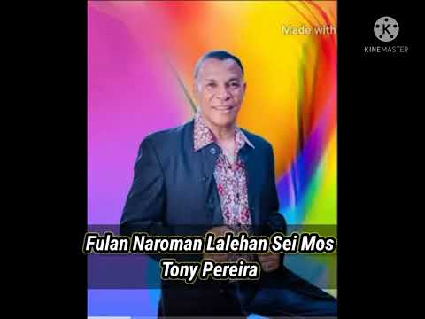Lakoi hanoin tan o (Fulan Naroman Lalehan Sei MOS) - Tony Pereira