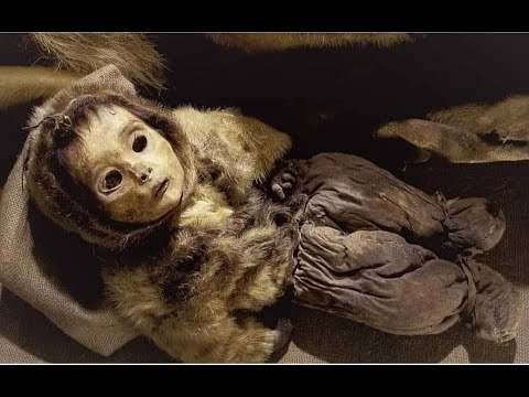 ÖMER AKDAŞ PRESENTE  VANE X Syniro    Under Pressure   Bass House   Car Music   Bass Boosted