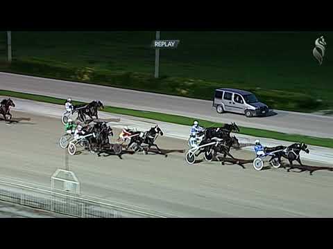 Aversa trotto 7 Novembre 2020 - 6° Corsa