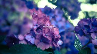 Silent Rain - DEEP AMBIENT WITH RAIN SOUND THE MOST RELAXING MUSIC -