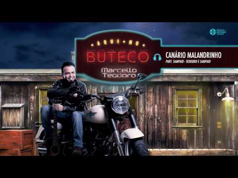 Canário Malandrinho video