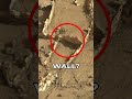 Mars Rover Curiosity SOL 0929 2nd Quicksolutions Data