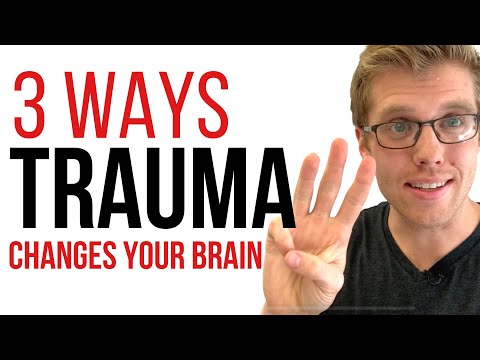 3 Ways Trauma Changes Your Brain (PTSD & Post Traumatic Stress Disorder)