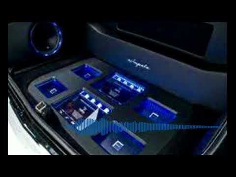 (26-30Hz) ZEBRA and TIGER - the tribute (REBASSED BY WAGON MAFIA)