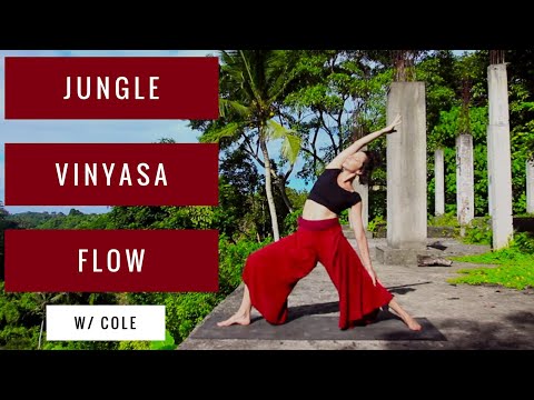 Vinyasa Flow in the Jungle with Cole Chance Yoga