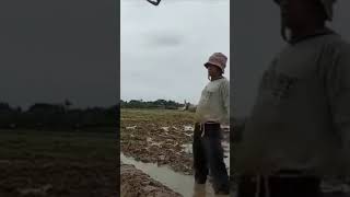 Download lagu story wa lucu 30 detik || story 62 lucu mp3 Download lagu story wa lucu 30 detik || story 62 lucu mp3