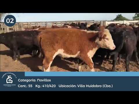Lote Nv Consumo - Villa Huidobro Córdoba