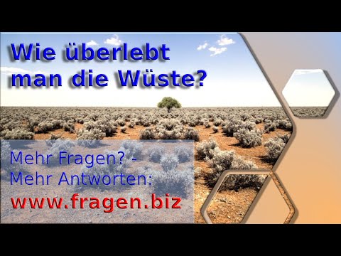 Fragen? - Wie überlebt man die Wüste? - Was in Wüstenzeiten wichtig ist...
