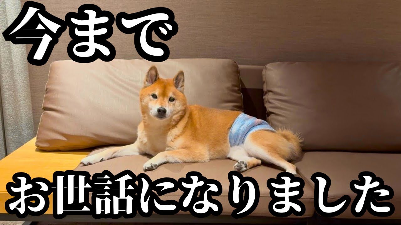 引っ越そうと思います