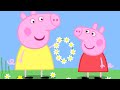 Chloé Pig Makes Peppa A Daisy Chain Peppa Pig Full Episodes