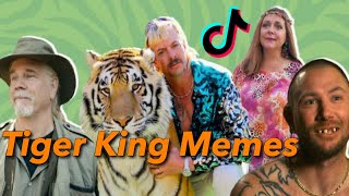 Tiger King Tik Tok Meme Compilation