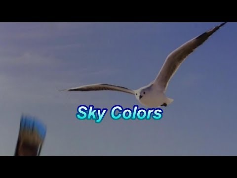 Quick Tip 202 - Sky Colors