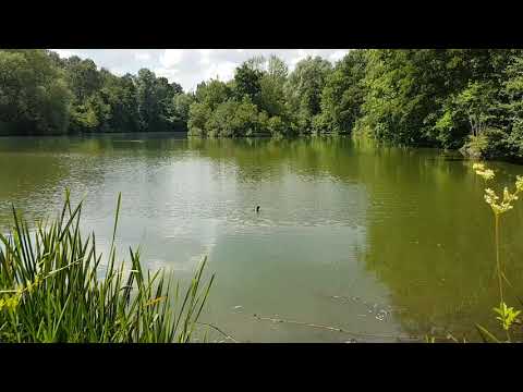 Leiselsee Baunatal (2020)