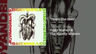 "There She Goes"- Ziggy Marley and the Melody Makers | Joy and Blues