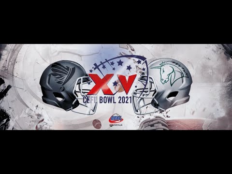 CEFL Bowl 2021 Highlights:  Swarco Raiders vs Schwabisch Hall Unicorns