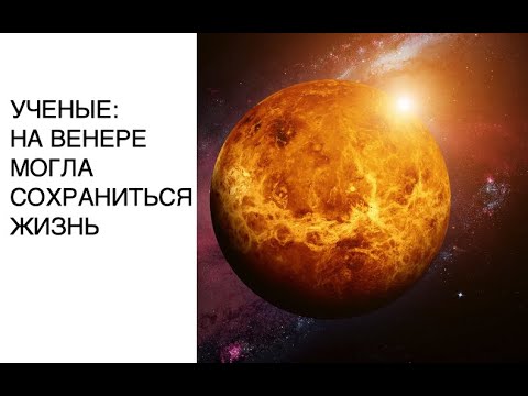 На Венере могла сохраниться жизнь: новости космоса сегодня, исследование Венеры, жизнь на Венере