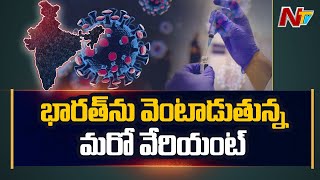 భారత్ ను వెంటాడుతున్న మరో వేరియంట్ : India Reports 30 Cases of Delta Plus variant |