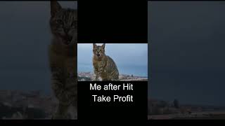 Download lagu Cat Forex mp3