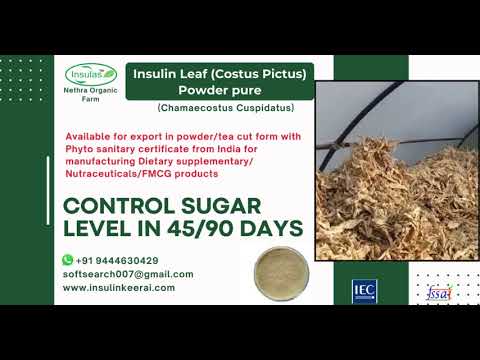 Coarse Insulas Insulin Leaf Tea ( Diabetes Tea), Packaging Type: Pouch, Packaging Size: 200g