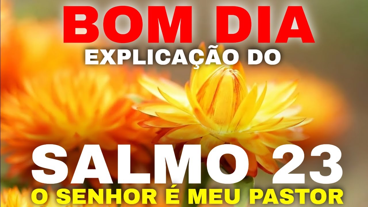 Explicação da Oração do Salmo 23 I Mensagem de Bom Dia
