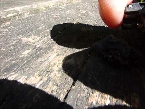 Feuer-machen mit leerem Feuerzeug und abgekratzten Fusseln. #15