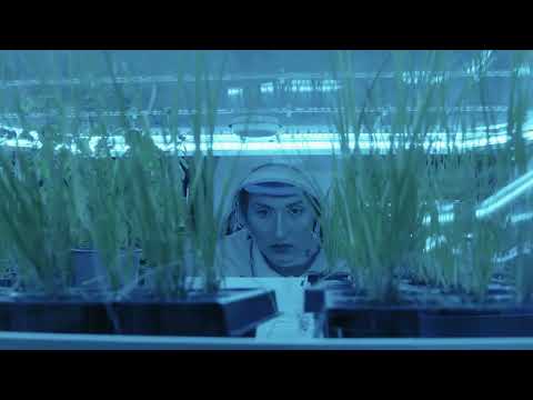 Dandelion Festival 2022