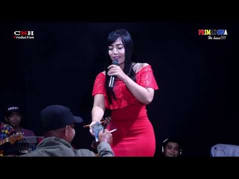 SECANGKIR KOPI DITA DONITA PRIMADONA LIVE DAMARWULAN