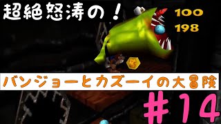 超絶怒涛の！バンジョーとカズーイの大冒険　実況　14
